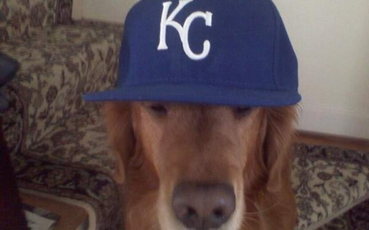 
Christian Binford’s dog looked good in a Royals cap.
