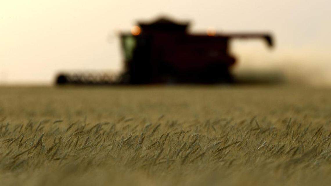 As it causes devastation in another sovereign nation, Russia may reap what it sows.