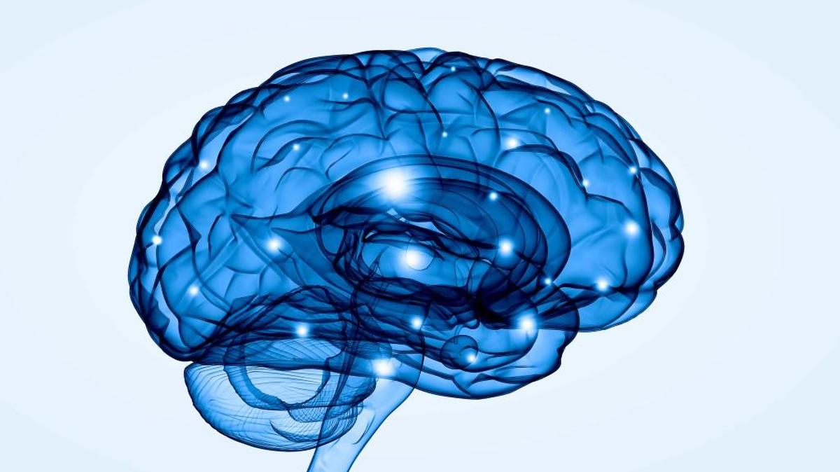 For researchers to cure Alzheimer’s, participants from all walks of life need to join clinical trials — and that includes those who aren’t diagnosed with Alzheimer’s.