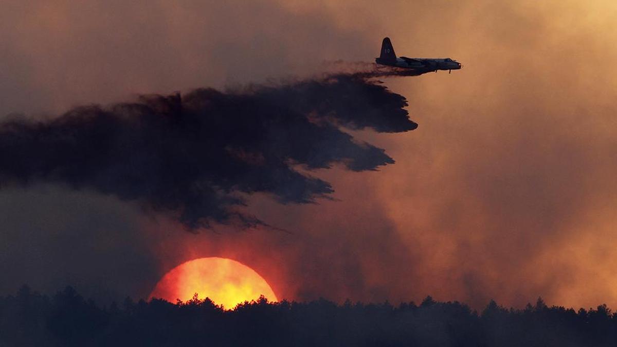 Over the past year, wildfires have burned through more than 8 million acres of American land, according to the National Interagency Fire Center.