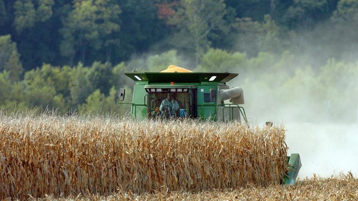 When tax policies similar to the current Republican proposal have been implemented in the past, the huge agricultural conglomerates have benefited and small family farms have suffered.