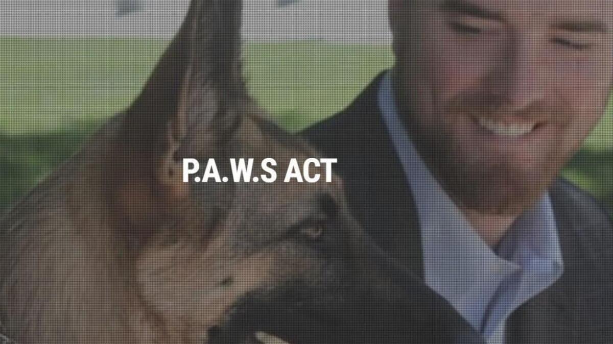 Congress should pass the Puppies Assisting Wounded Servicemembers, or PAWS, Act — a bill with over 130 bipartisan supporters.