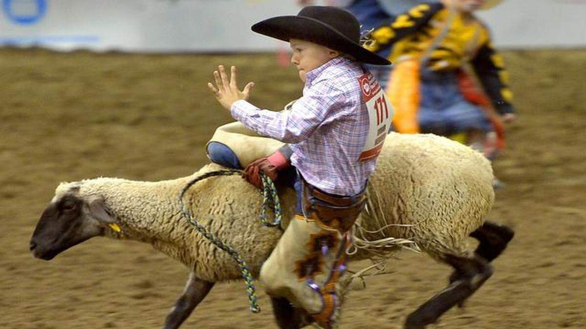 
A scene from the American Royal Invitational Youth Rodeo Junior Division at Hale Arena, one of many agriculture traditions in the Royal season.
