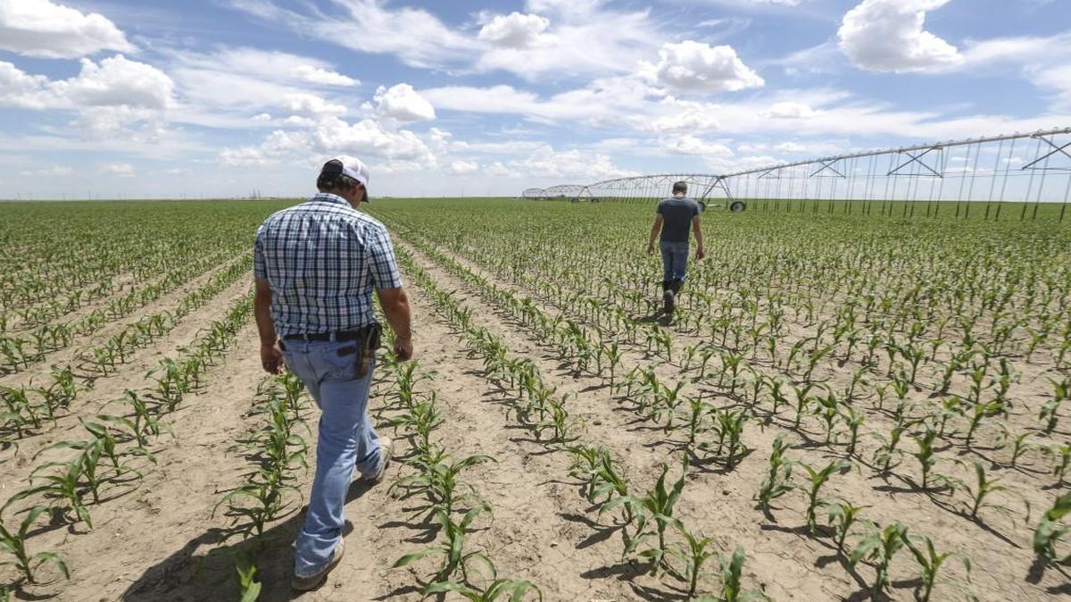 Clay Scott examines an irrigation pivot with his oldest son Ty in a corn field near their family farm in Ulysses, Kan. The U.S. Department of Agriculture is asking people to give their definition of a family farmer versus complex and very large corporate farm operations.