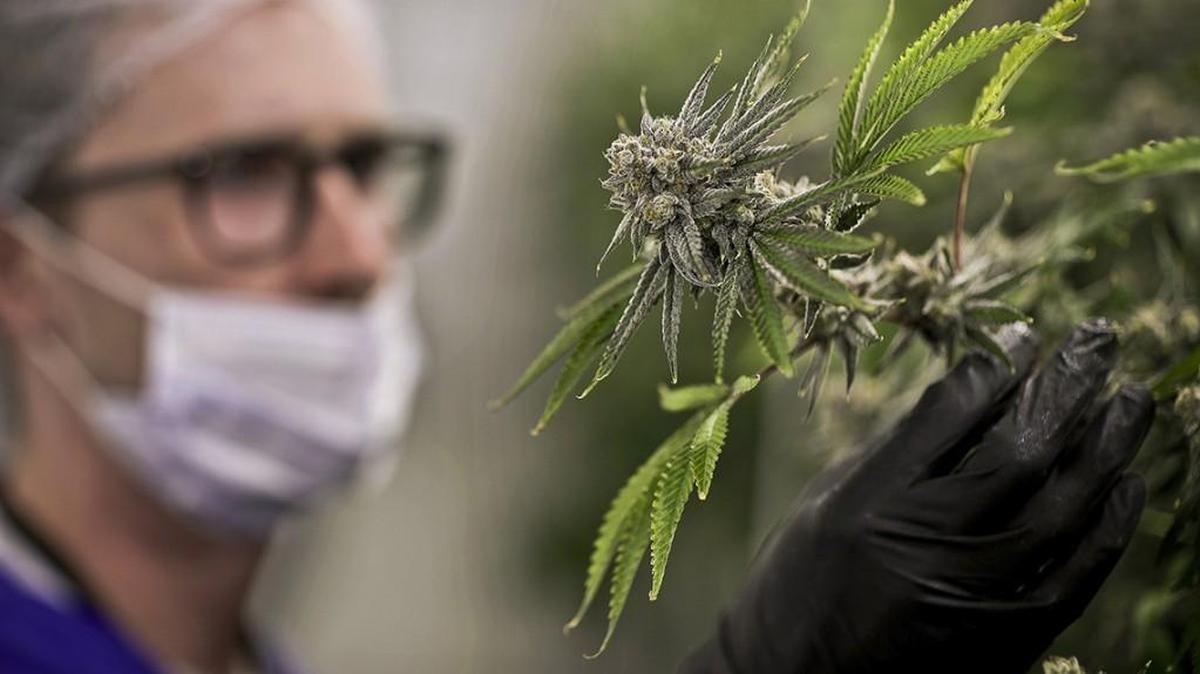 Missouri HB 1554 is crippling preemptive legislation that will keep medical marijuana from the reach of just about any patient who might benefit.
