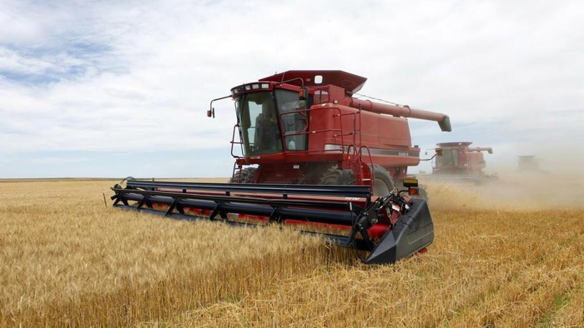 In this July 9, 2009 file photo three combines harvest the winter wheat on the Cooksey farm near Roggen, Colo.