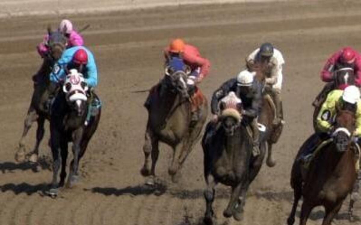 A field of Thoroughbreds headed down the stretch during a race at The Woodlands. The Kansas City, Kan., horse and dog racing track has been closed for years. Efforts are underway to try to reopen it.