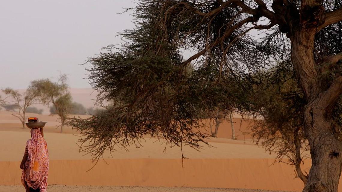 President Donald Trump’s proposed cuts to the NIH would impact crucial Peace Corps work in places such as Mauritania in West Africa, writes Andrew Dykens.