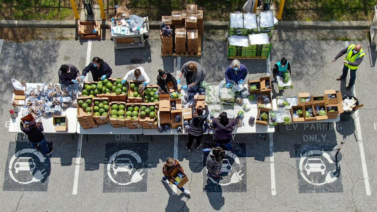Harvesters —The Community Food Network is seeing sustained increases of 40% in the demand for food assistance during the coronavirus pandemic.