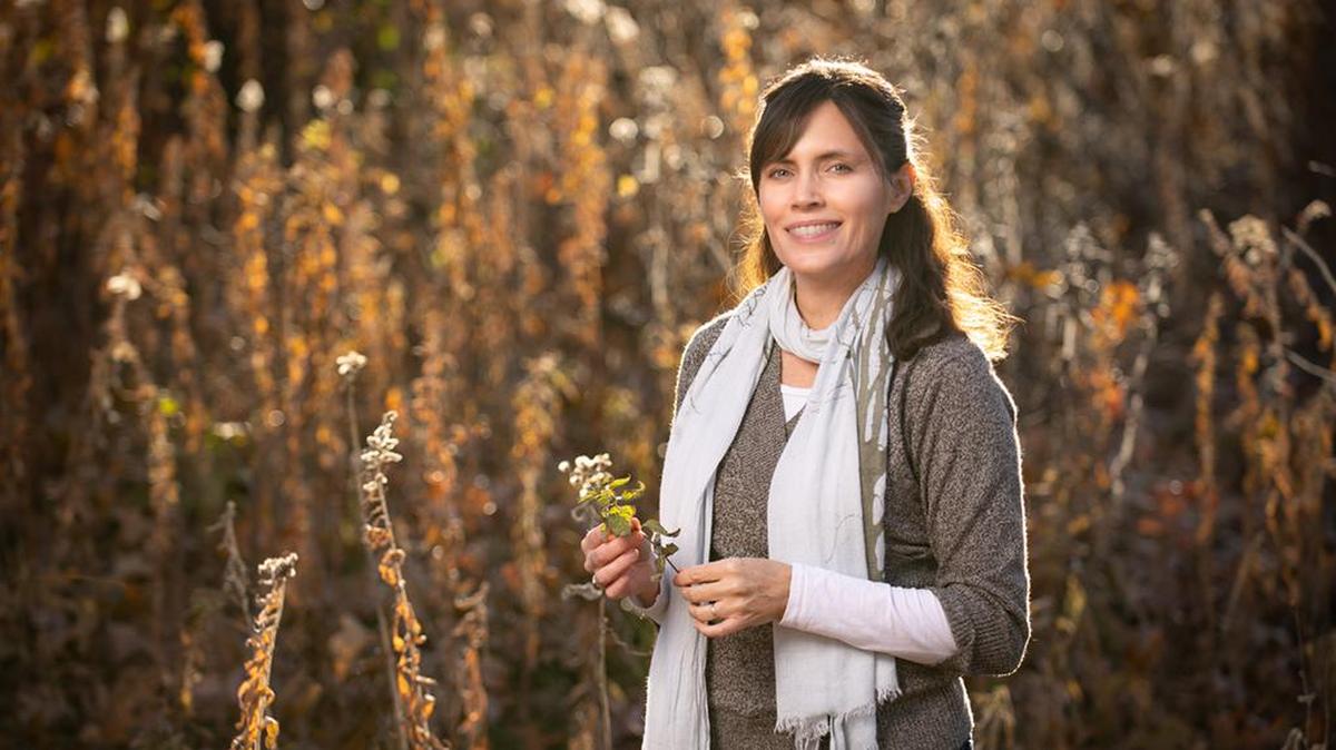 Carol Davit, executive director of the Missouri Prairie Foundation and its Grow Native! program