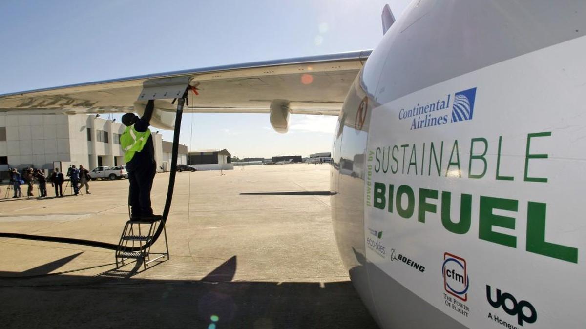 Monte Hawkins prepared to remove the fuel line attached to a Continental Airlines jet for the first biofuel-powered demonstration flight of a U.S. commercial airliner at Bush Intercontinental Airport in Houston. Biofuel production has been aided by National Science Foundation-supported studies.