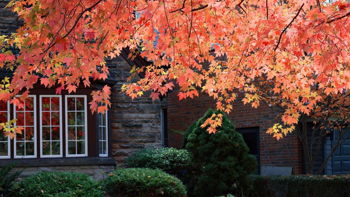 4 Reasons You Shouldn’t Pause Your Home Search This Fall