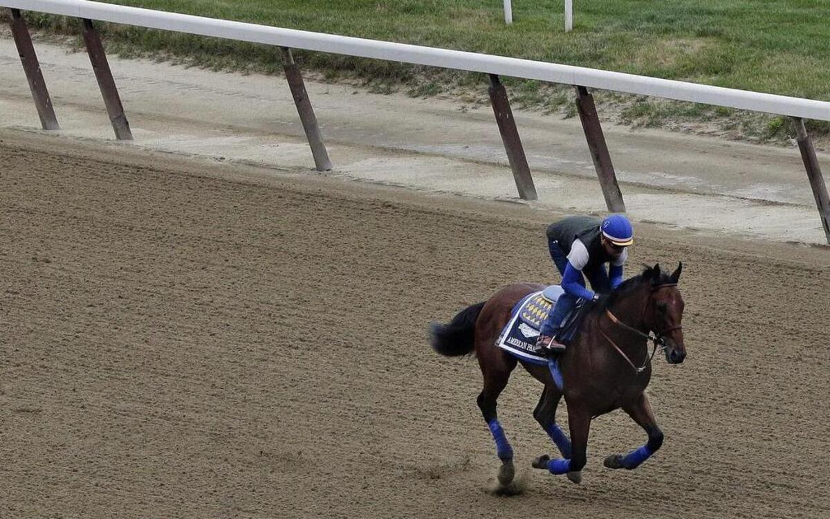 
Kentucky Derby and Preakness winner American Stakes Pharoah, with exercise rider Jorge Alvarez, gallops around the track at Belmont Park on Friday.
