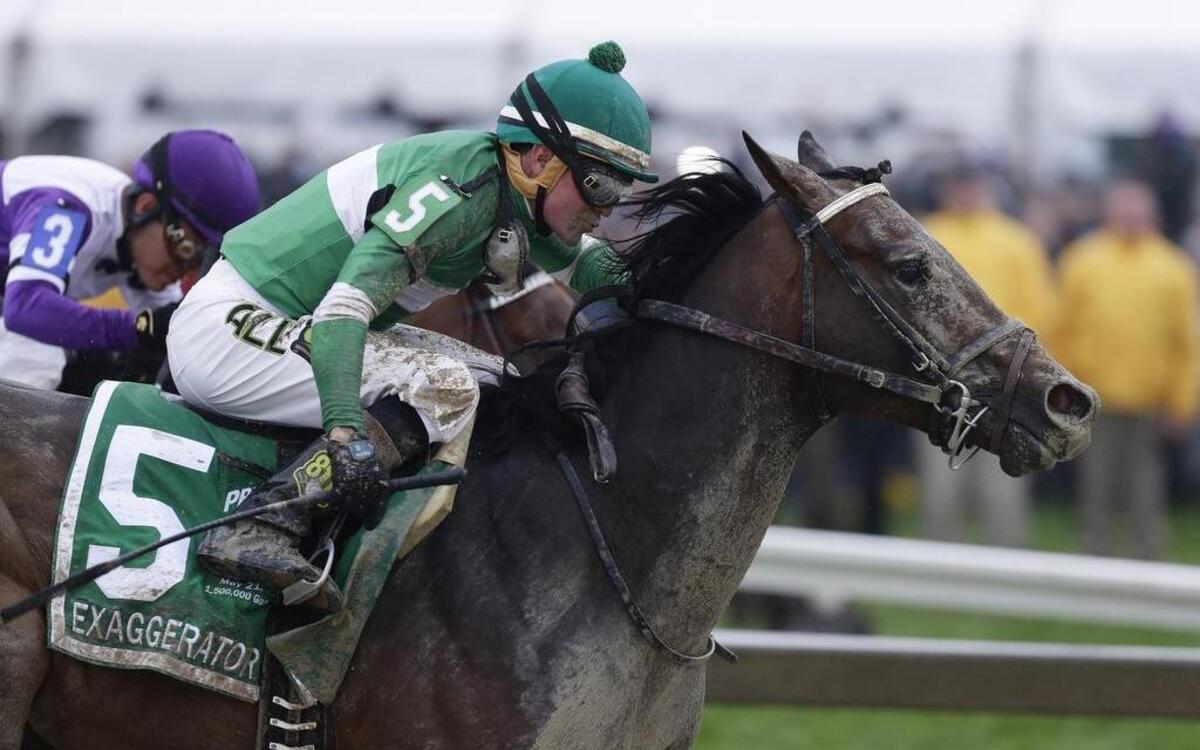 Exaggerator with Kent Desormeaux aboard moves past Nyquist with Mario Gutierrez during the 141st Preakness Stakes horse race at Pimlico Race Course, Saturday, May 21, 2016, in Baltimore. Exaggerator won the race.