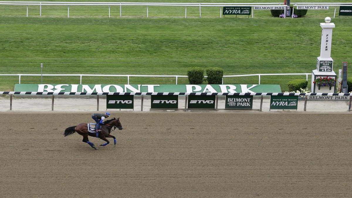 
Kentucky Derby and Preakness Stakes winner American Pharoah will try for a Triple Crown when he runs in Saturday’s 147th running of the Belmont Stakes.
