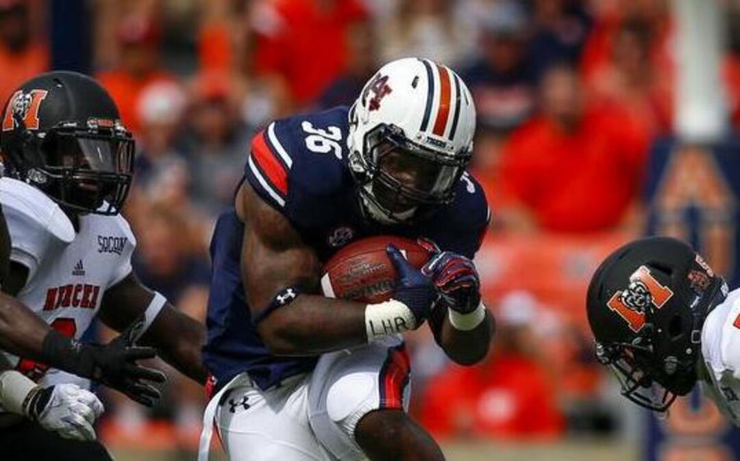 Auburn running back Kamryn Pettway has rushed for 202 yards in 56 carries this season.
