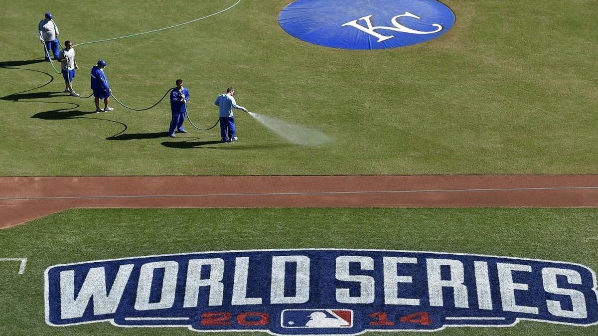 The Kansas City Royals groundscrew worked at Kauffman Stadium ahead of the 2014 World Series.