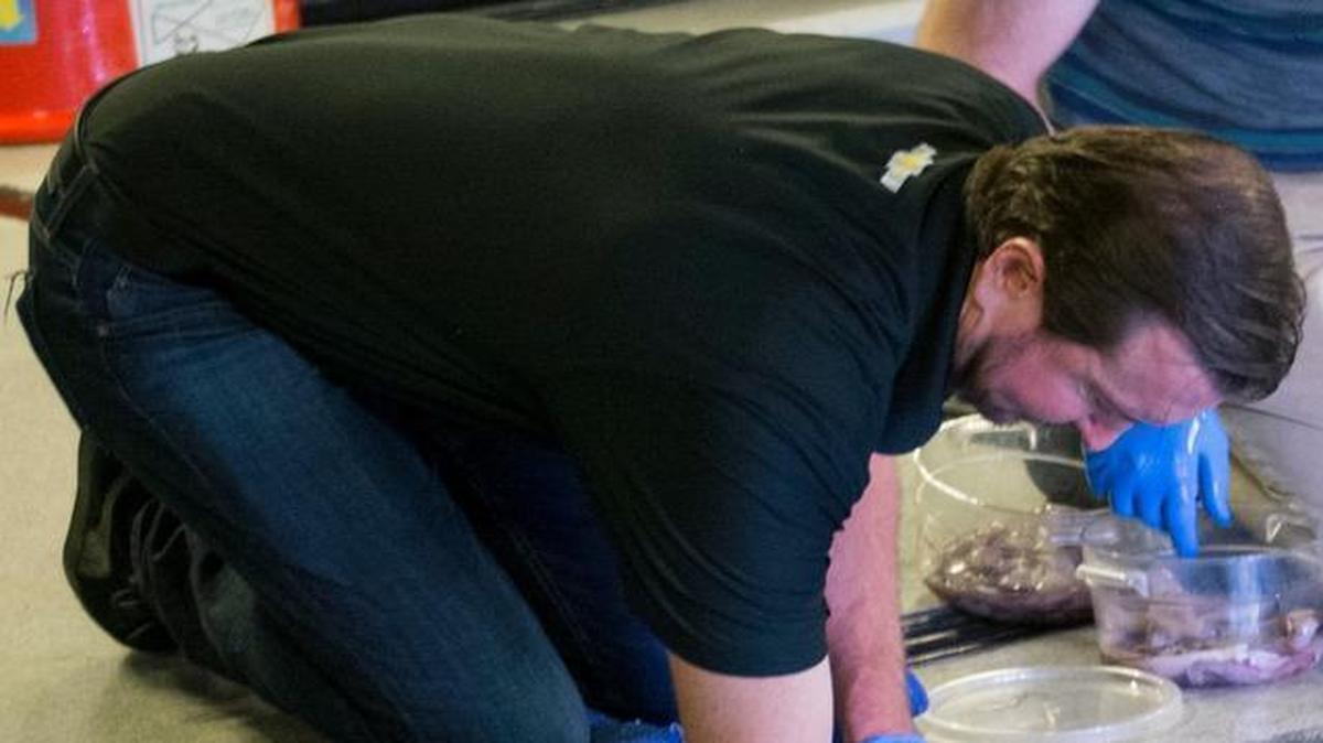 
NASCAR Sprint Cup driver Kurt Busch was in Kansas City on Wednesday to help promote the Hollywood Casino 400 race Oct. 18 at Kansas Speedway.
