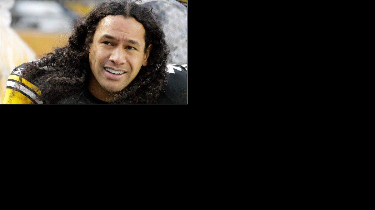 
Troy Polamalu 
