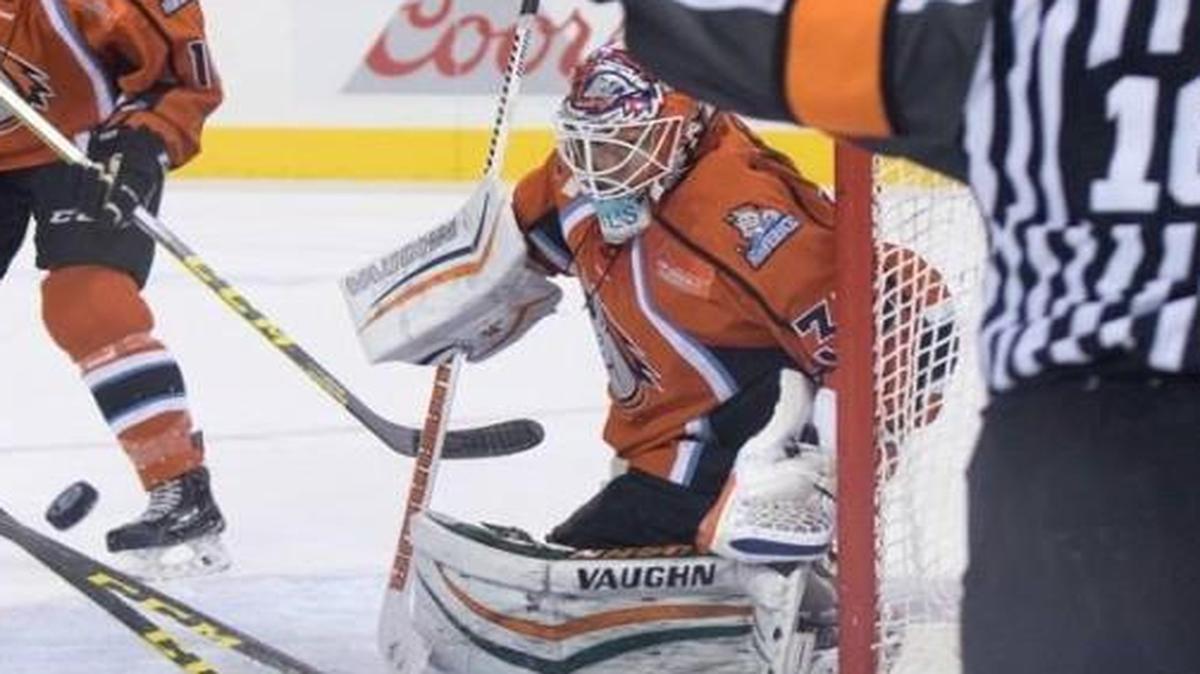 Mavericks goalie Josh Robinson on Tuesday was chosen ECHL Goaltender of the Week after two wins in Alaska.