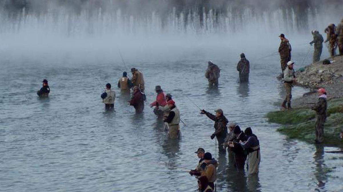 
Bills introduced in the Missouri General Assembly would cut funding of the Missouri Department of Conservation. Among other things, the agency stocks trout at places such as Bennett Spring State Park.
