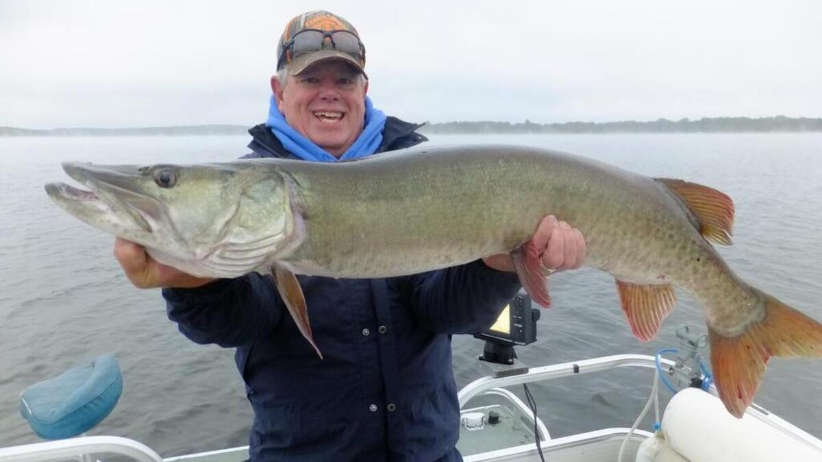 Chris La Bonte of Gardner, Kan., caught this 44-inch muskie this month at Pomme de Terre Lake. La Bonte was guided by Earle Hammond. Have a fishing photo taken in Kansas or Missouri that you'd like to share? Email it, along with caption information, to fishingreport@kcstar.com.