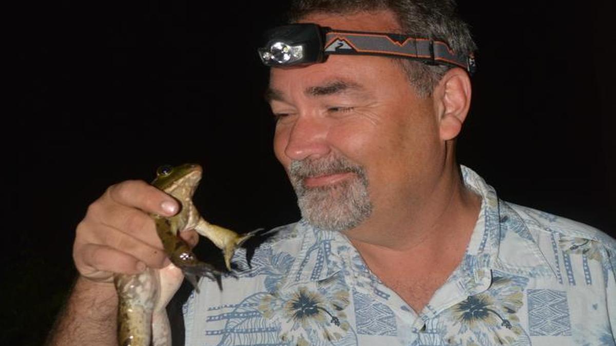 
Steve Rehrer smiled at the thought of a dinner featuring frog legs after gigging one of the big bullfrogs in his pond.
