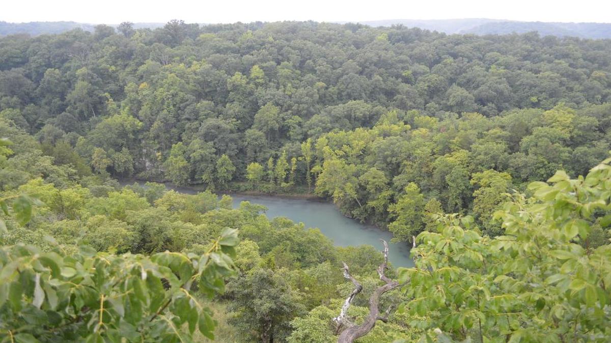 The view from above tree level: Looking down on Lake of the Ozarks from a bluff in Ha Ha Tonka State Park.