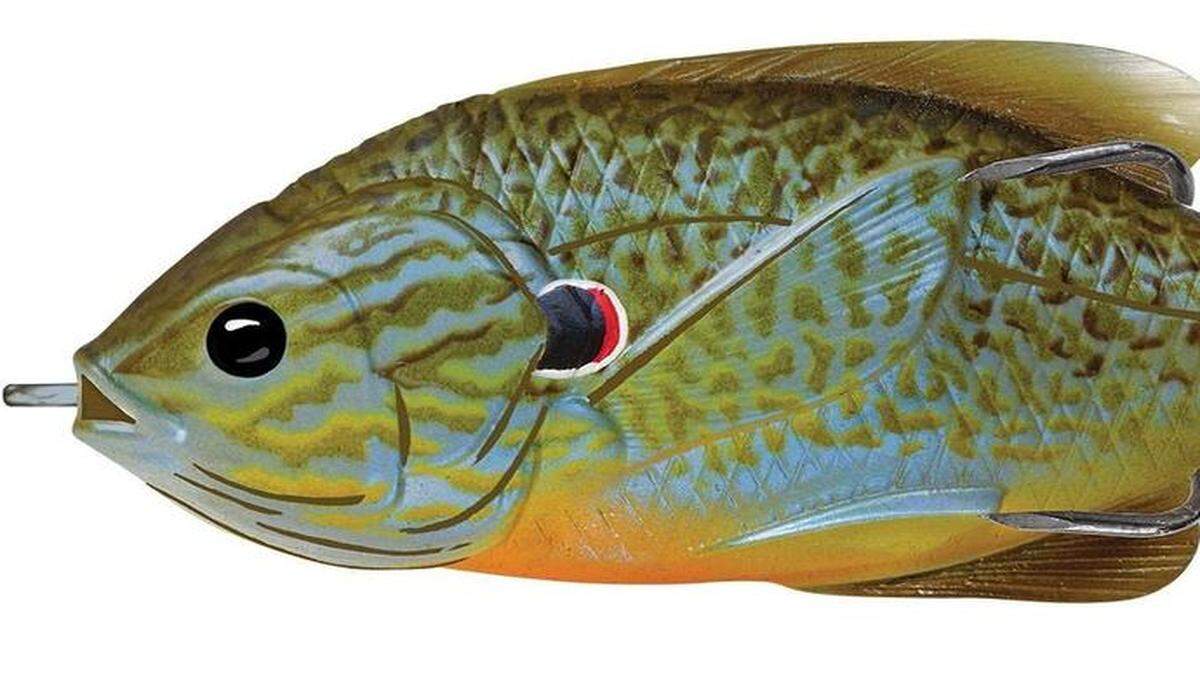 
Live Target Hollow Body Sunfish
