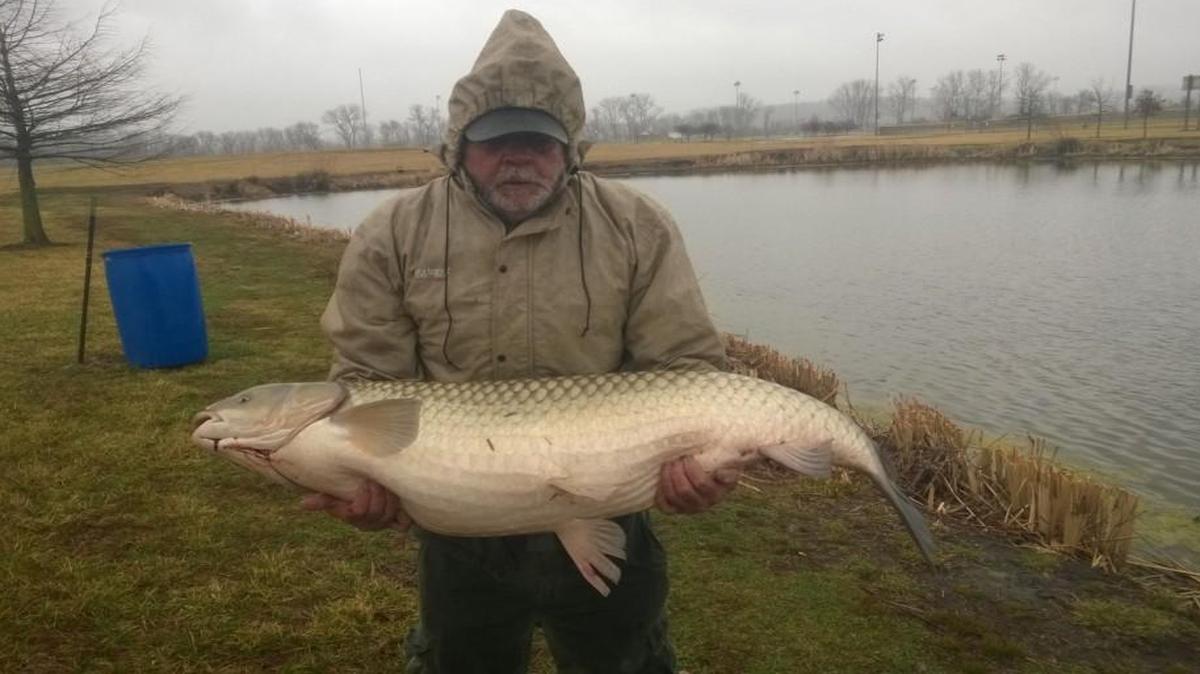 Frank Shelton was fishing for bass on March 19, but he caught something much bigger — a 68-pound grass carp.