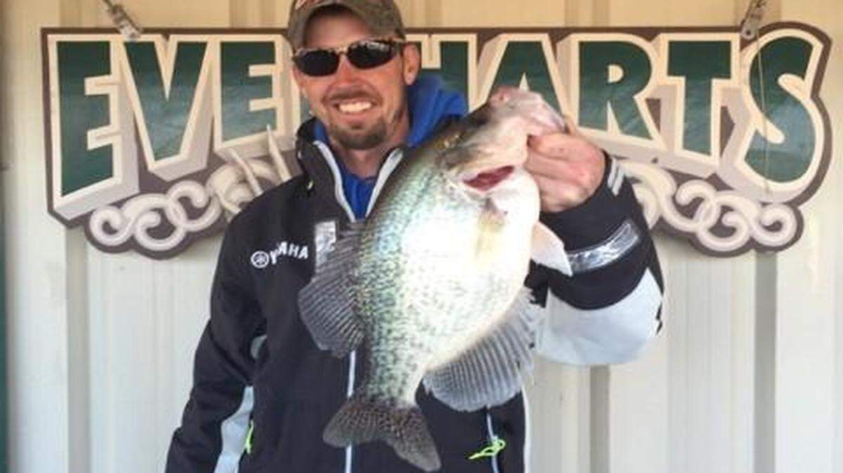 
Jeff Faulkenberry, a guide at Truman Lake, caught a 3.21-pound crappie Tuesday and later donated the fish to Bass Pro Shops for display in one of its aquariums. 
