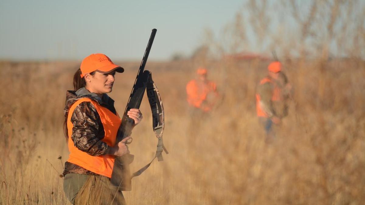 Nadia Marji walked through the cover on a farm near Dodge City, Kan., in November, hoping to kick up pheasants.