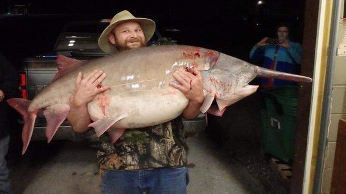 
Andy Belobraydic III of Richwoods, Mo., had his hands full when he landed a state-record paddlefish at Table Rock Lake last weekend. The fish weighed 140 pounds, 9 ounces, and is the biggest fish ever registered in Missouri.

