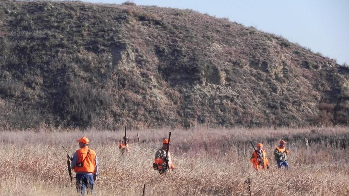 Pheasant hunters should be pleased with their prospects this season, same as those seeking deer and waterfowl around Kansas and Missouri.