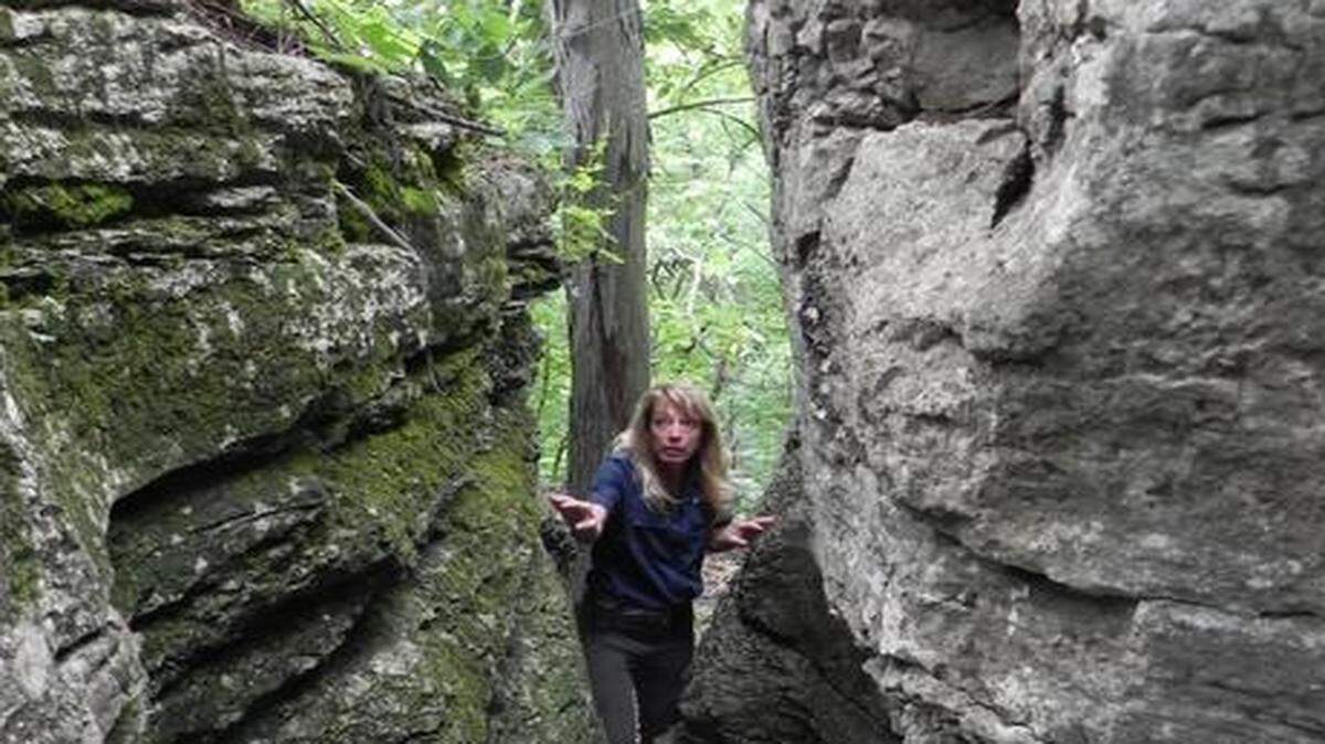 
The Burr Oak Woods Conservation Area in Blue Springs offers close-to-home hiking opportunities for Kansas City-area residents.

