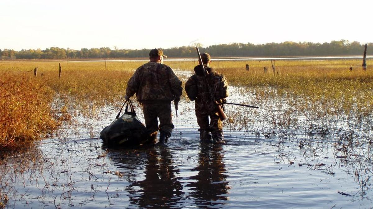 Duck hunters are ready to wade into a new season amid reports of near-record numbers of waterfowl.