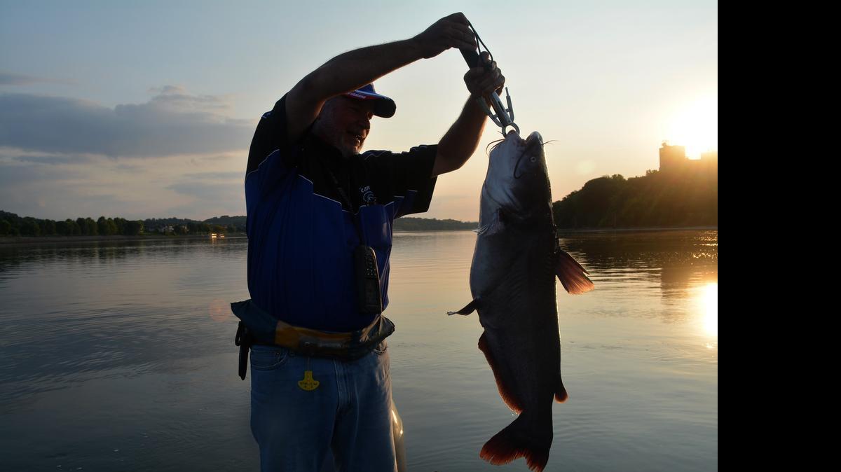 
Richard Simms, a guide for Scenic City Fishing Charters, weighed one of the big catfish he caught at daybreak on the Tennessee River.
