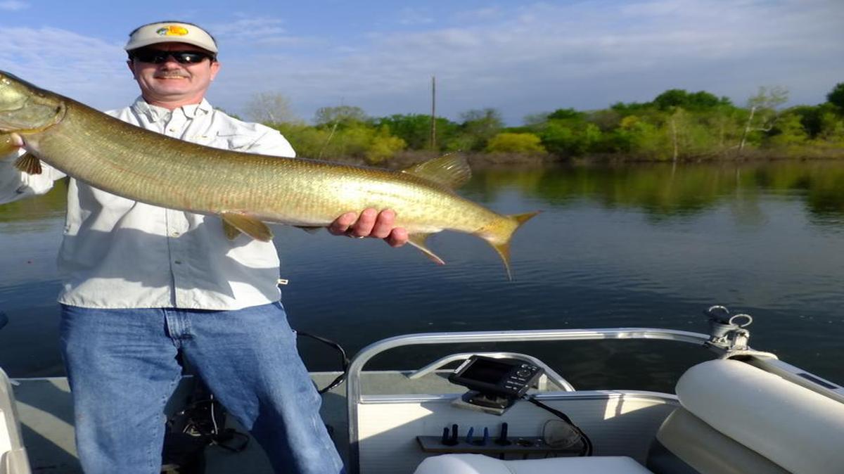 
David Fritz of Lee’s Summit posed with the giant muskie he caught last weekend at Pomme de Terre Lake.
