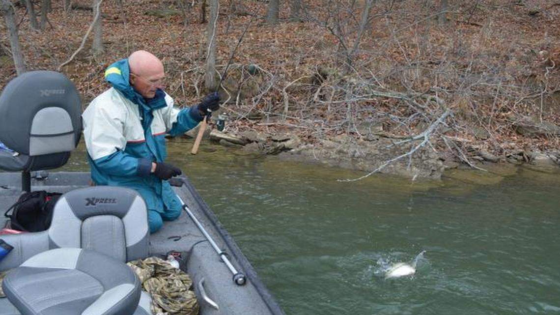 
Ned Kehde fought a bass that he hooked on a small lure and light line during a recent trip to a private lake in the Kansas City suburbs.
