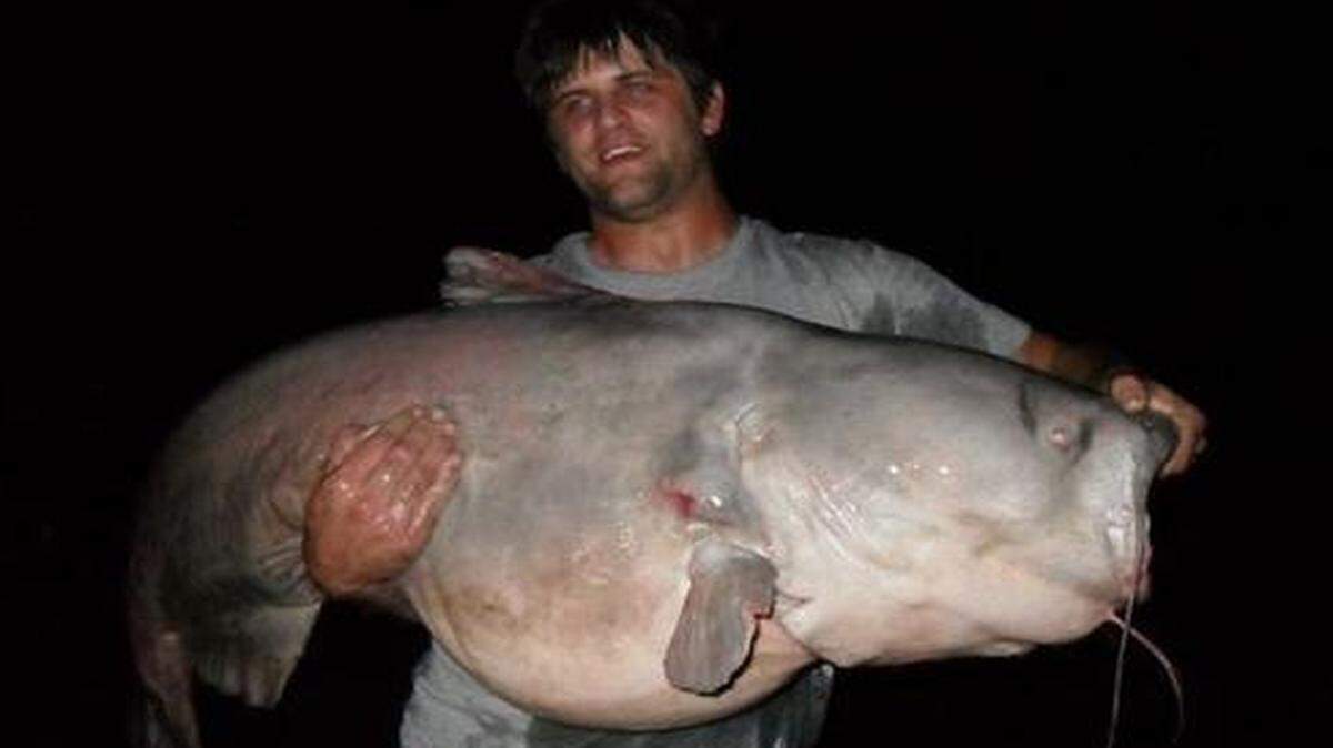 
Joel Roberts of Olathe and his 96.4-pound Kansas River blue catfish. 
