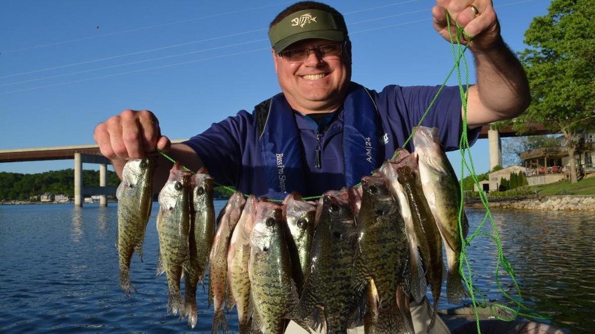 Darin Keim caught a limit of crappies last week at Lake of the Ozarks ... but not in the places where you would expect. The fish weren’t on the spawning banks. Instead, they were suspended in deep water, not far from the coves where they will spawn.