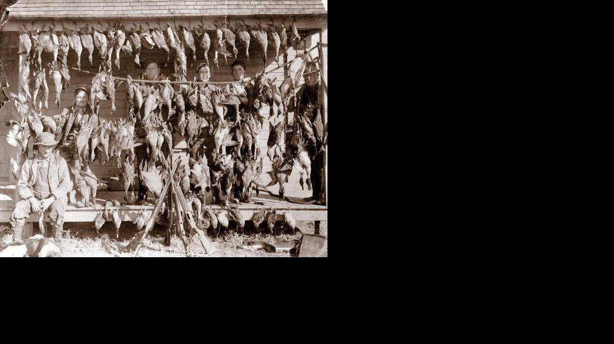 The Stultz Hunting and Fishing Club near Nevada, Mo., is one of the duck clubs that dates back to the early 1900s, when guns were blazing.<252><252>