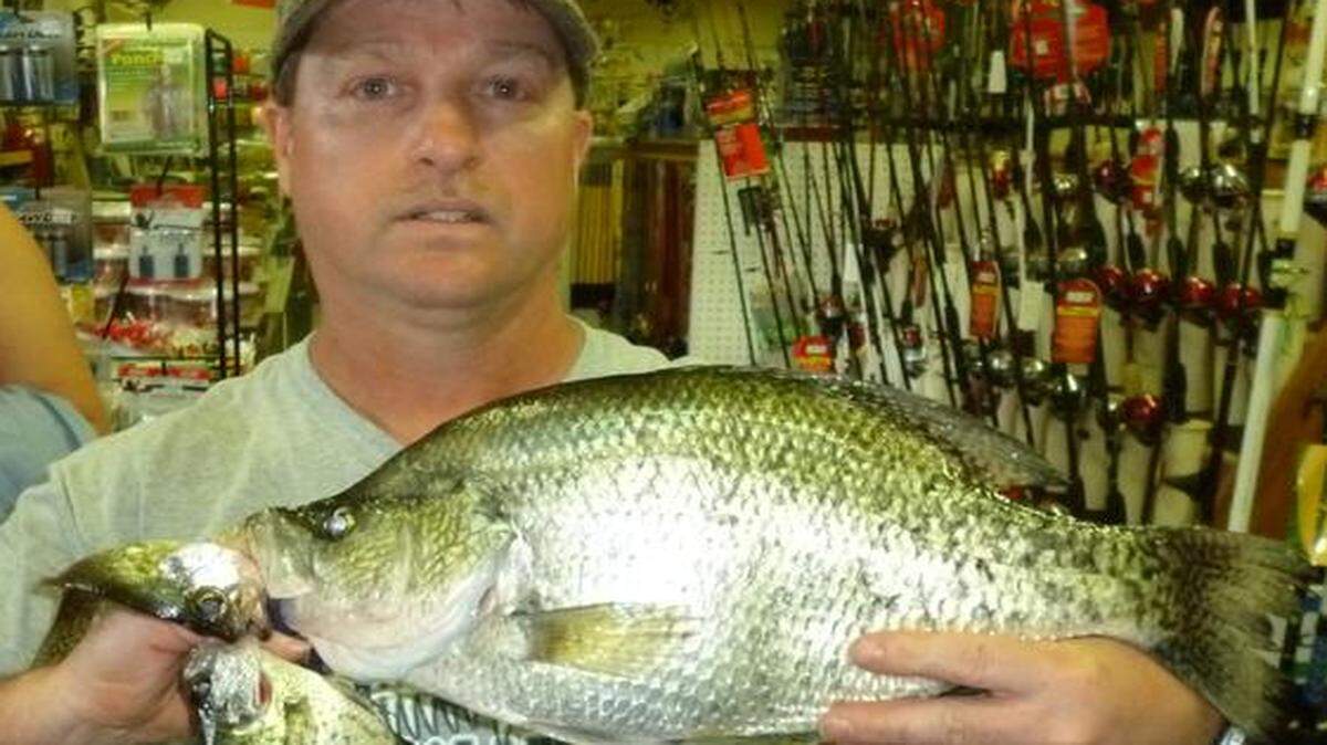 
Lenn Fikes displayed the 3-pound, 6-ounce crappie he caught at the James A. Reed Memorial Wildlife Area.
