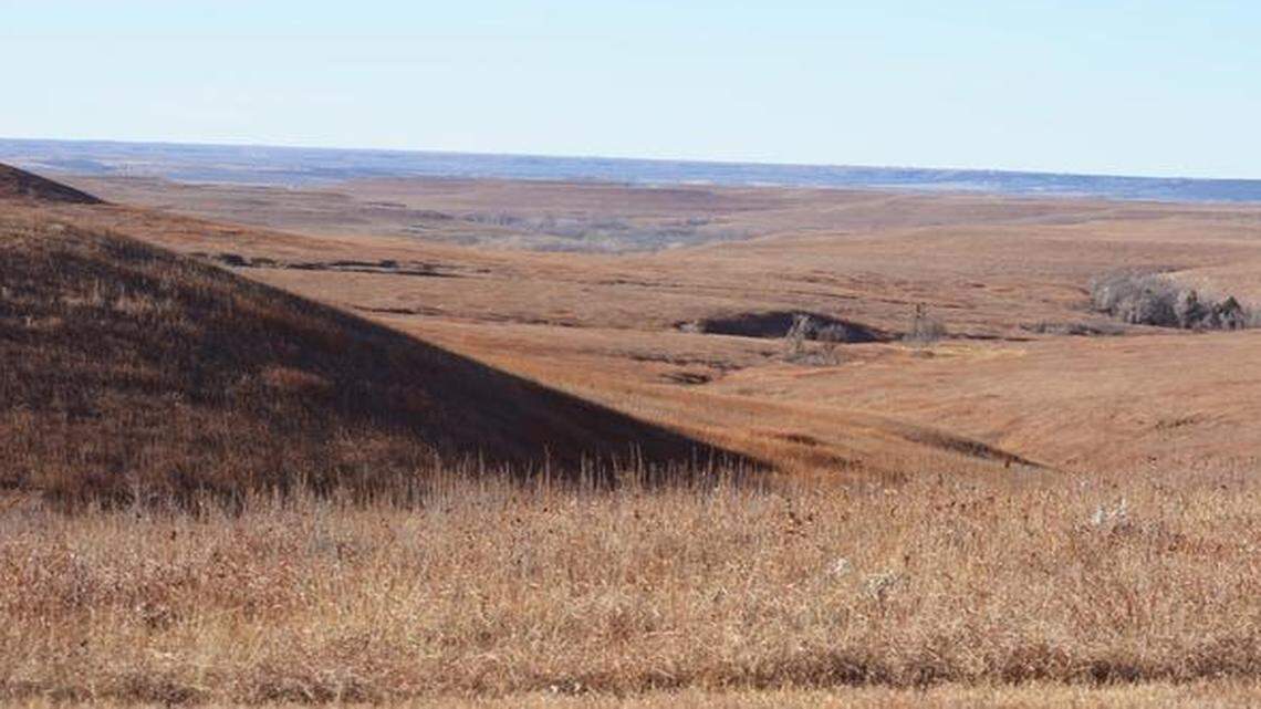 
The view from a vista on Konza Prairie: A look at the way much of Kansas once looked.
