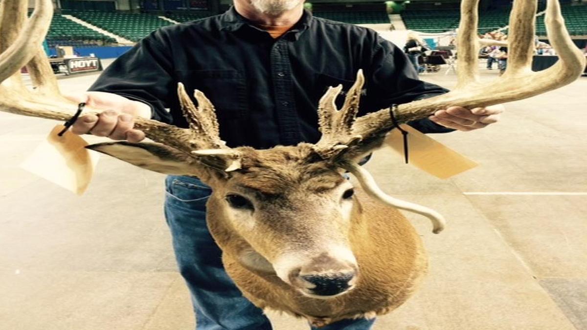 At the Kansas Monster Buck Classic last weekend, Chuck McNally of Havensville, Kan., displayed the trophy antlers he found in 1976.