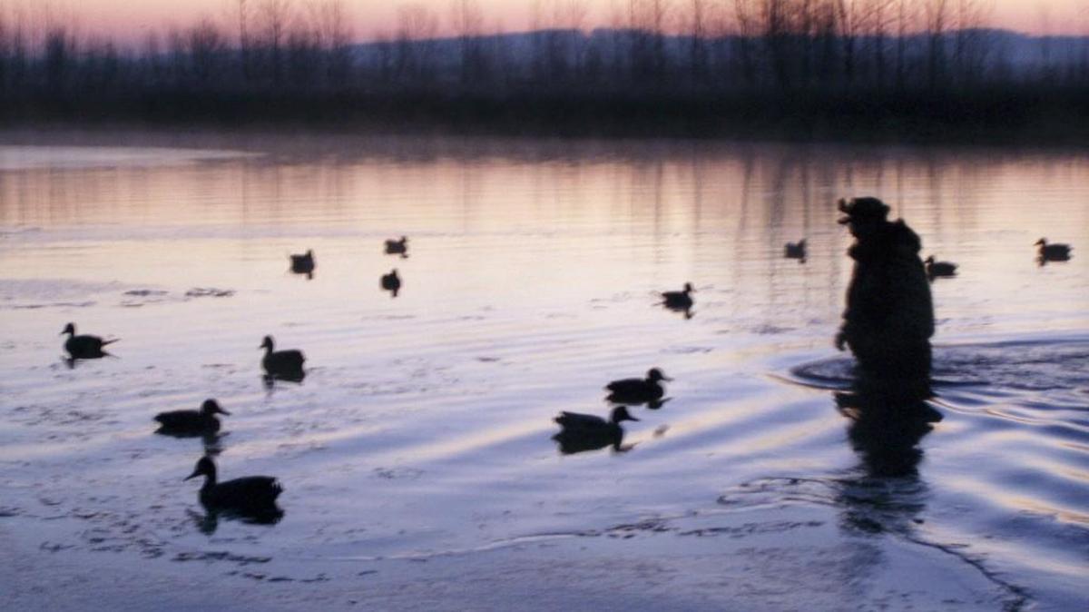 
Duck hunters in Kansas could have a tough season if it remains warm and dry.
