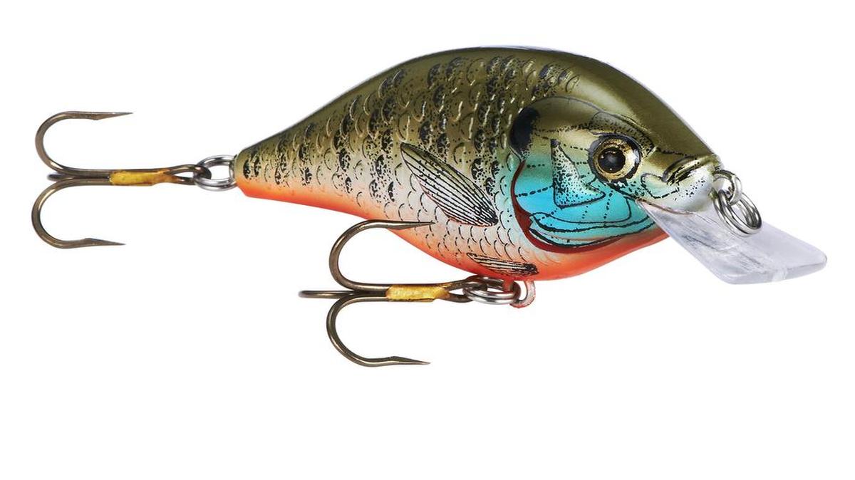 
The Rebel Bluegill
