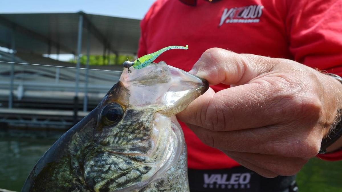 
Tiny jiggs on 
1/64
th-ounce heads fished on 2-pound test line will catch big crappies, as John Neporadny proved on a recent weekday.
