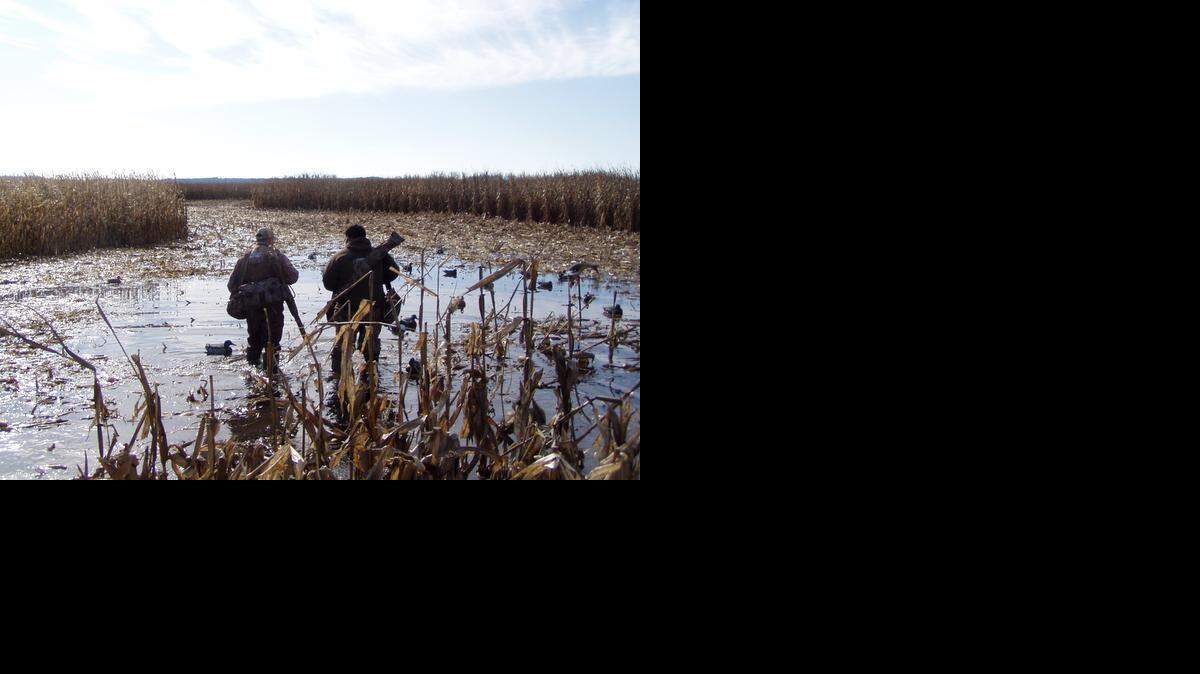 
With waterfowl numbers up, hunters may be tempted to spend more time in the field this fall and early winter.
