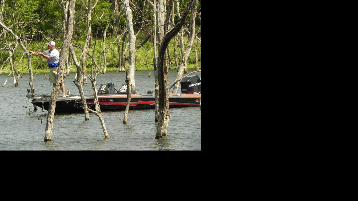 Zac Udock, a guide in southeast Kansas, fished the thick flooded timber of Bone Creek Lake, using a wacky rig with a plastic worm.